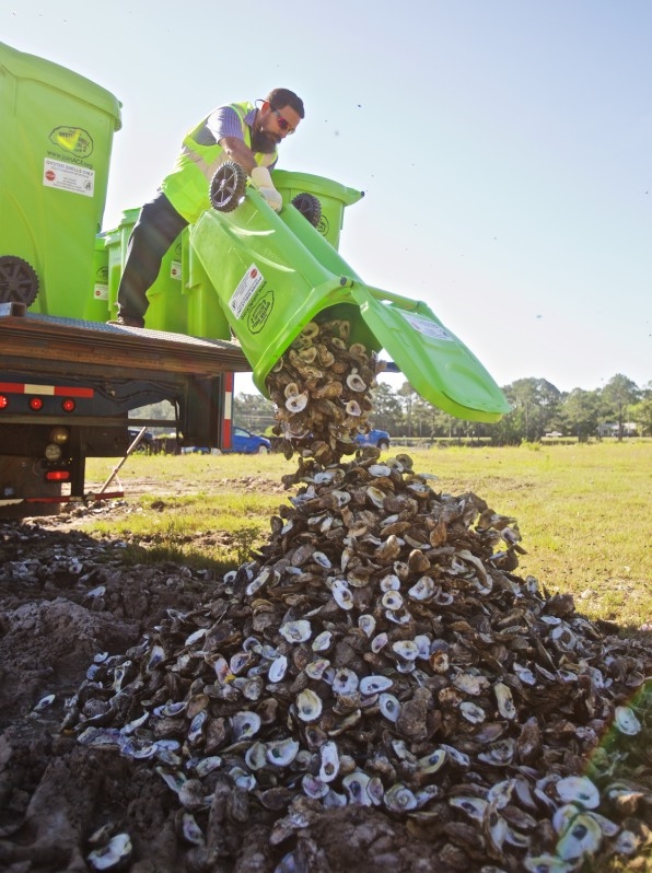 Restaurants Are Returning Their Empty Oyster Shells To The Ocean To Rebuild Decimated Reefs | DeviceDaily.com