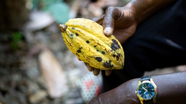 This Candy Company Is Making Sure Its Chocolate Is “100% Slave-Free” | DeviceDaily.com