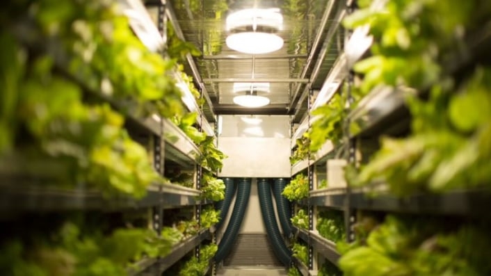 This Vertical Farm Wants To Be An Agriculture Company, Not A Tech Company | DeviceDaily.com