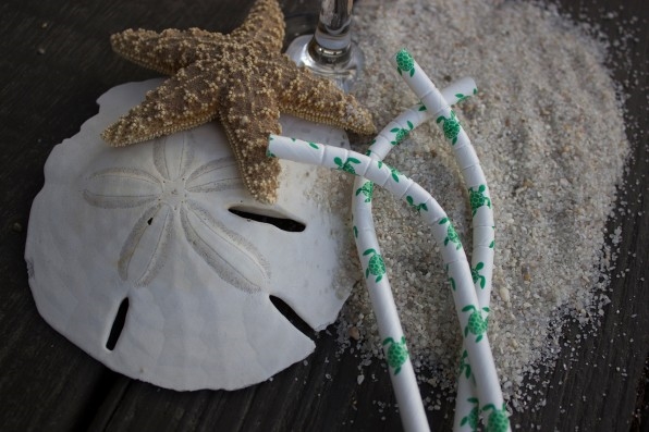 Can We All Agree That Plastic Straws Are Totally Unnecessary? | DeviceDaily.com