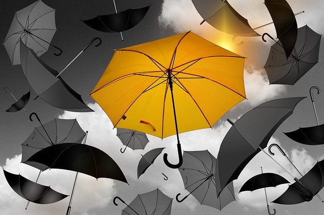 Exploring the State of Diversity in the C-Suite | DeviceDaily.com Exploring the State of Diversity in the C-Suite | DeviceDaily.com