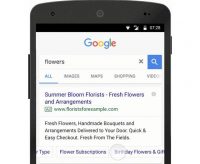 Google Sitelinks, Callouts, Snippets To Deliver More Information