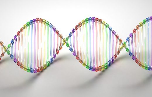 Veritas Buys Curoverse to Bring A.I. Analysis of Genes to the Masses