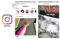 More Than 50% Of Brands On Instagram Posted At Least One Instagram Story Last Month