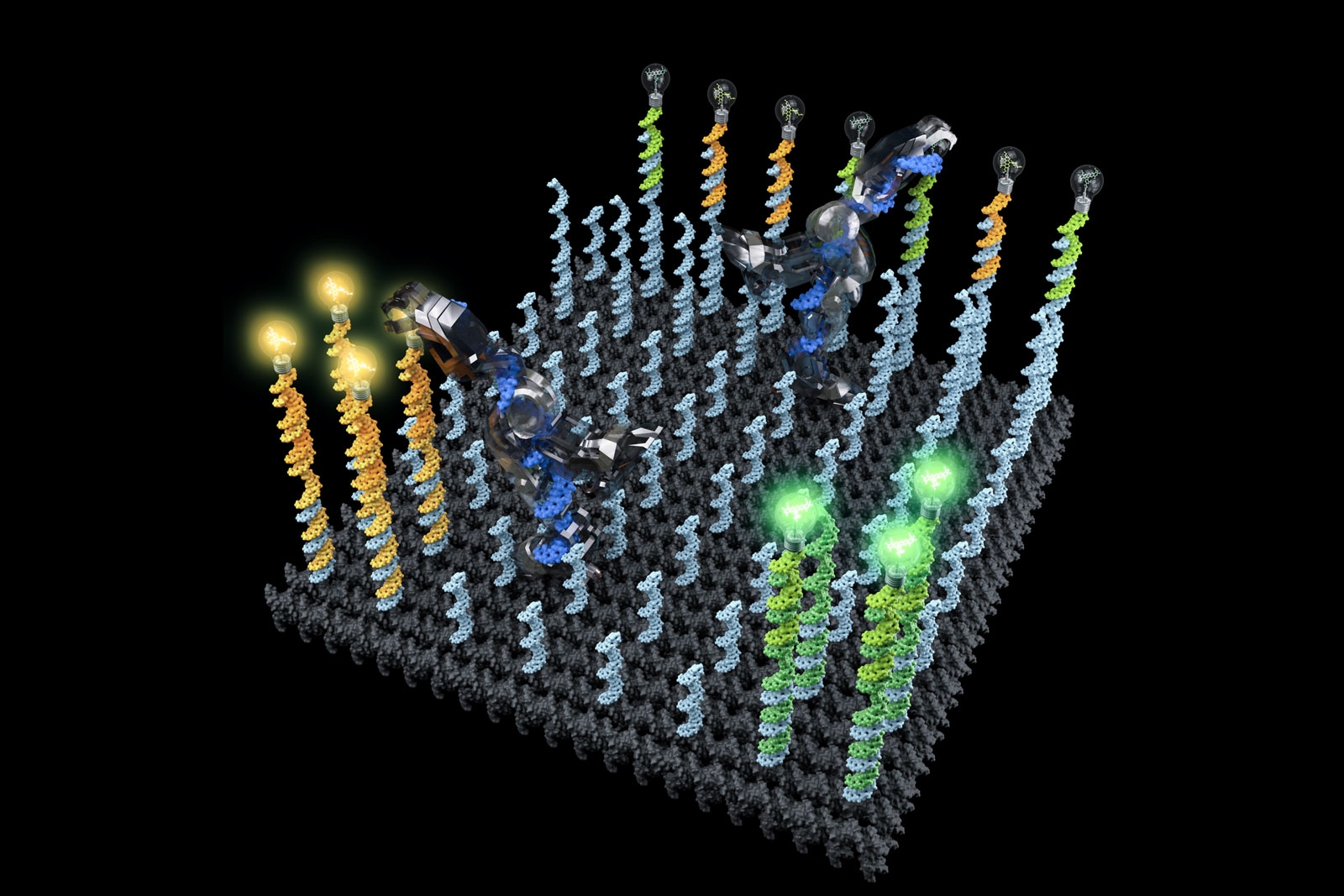 DNA 'robots' could sort molecules in your blood | DeviceDaily.com