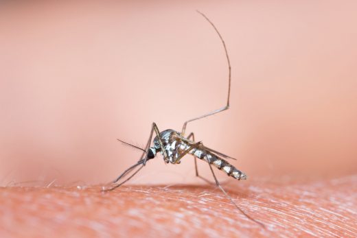 Satellites help predict malaria outbreaks months in advance