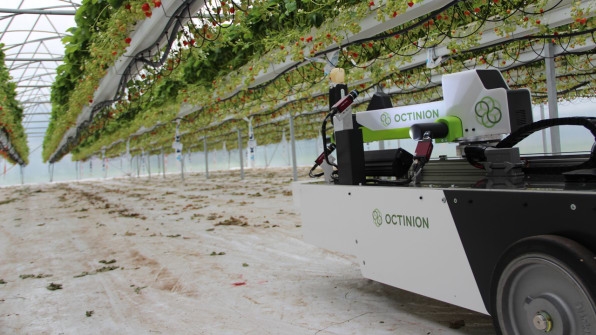 This Strawberry-Picking Robot Gently Picks The Ripest Berries With Its Robo-Hand | DeviceDaily.com