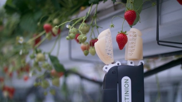 This Strawberry-Picking Robot Gently Picks The Ripest Berries With Its Robo-Hand | DeviceDaily.com