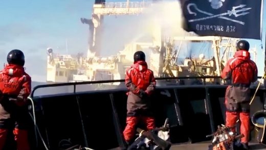 A Sea Shepherd Documentary Created By Two Unlikely Partners