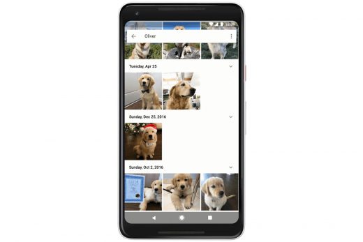 Google Photos can pick your pet out of a furry lineup