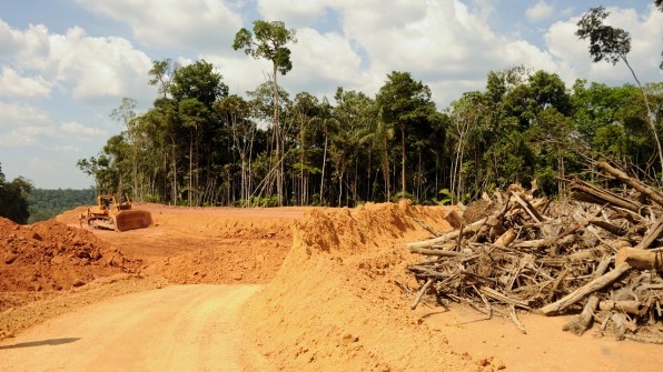 The Largest Ever Tropical Reforestation Is Planting 73 Million Trees | DeviceDaily.com