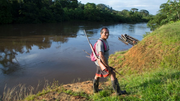 The Largest Ever Tropical Reforestation Is Planting 73 Million Trees | DeviceDaily.com