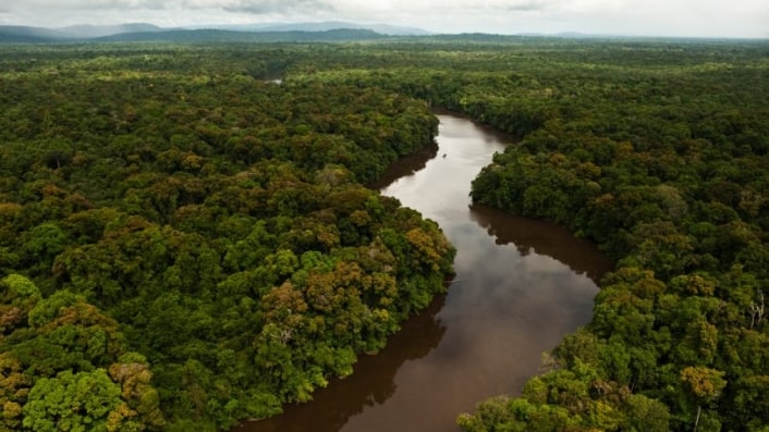 The Largest Ever Tropical Reforestation Is Planting 73 Million Trees | DeviceDaily.com