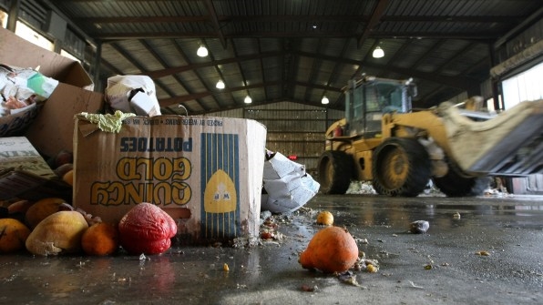 New York’s Sanitation Bureau Is Searching For Food Waste Innovations | DeviceDaily.com