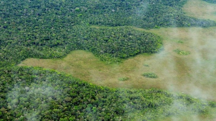 The Largest Ever Tropical Reforestation Is Planting 73 Million Trees | DeviceDaily.com
