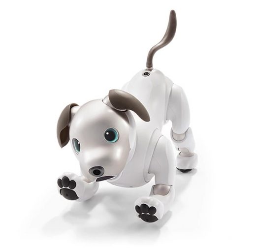 Sony’s new Aibo pet robot goes on sale tonight in Japan
