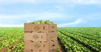 Zest labs brings IoT and blockchain to the fresh food supply chain