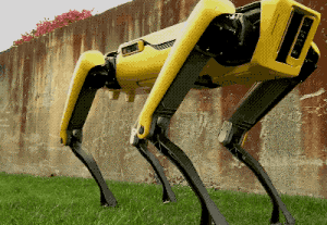Boston Dynamics 'new' SpotMini robot looks ready for a walk | DeviceDaily.com