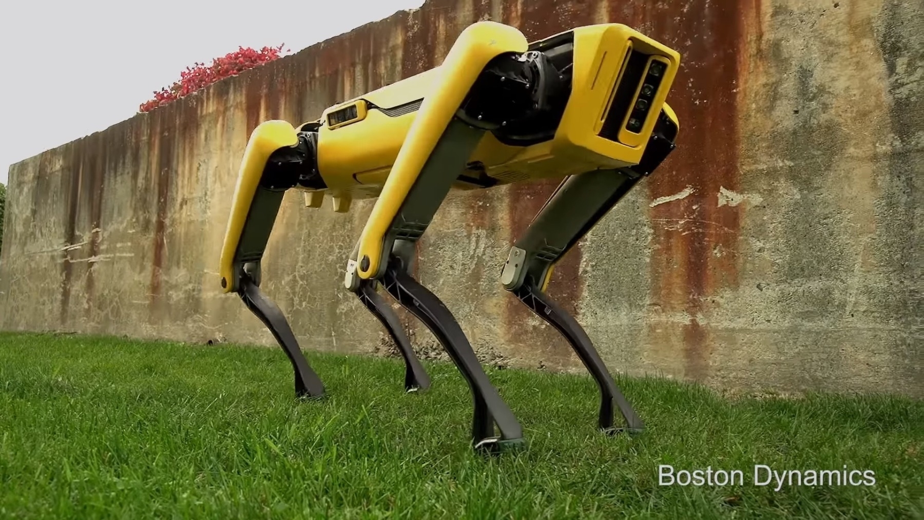 Boston Dynamics 'new' SpotMini robot looks ready for a walk | DeviceDaily.com