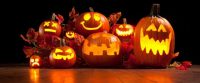 Halloween Foolery: Annual Income, Education Determine Searches