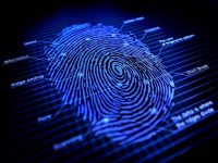 Microsoft Patents Fingerprint Authentication Sensor In Keyboard, Touchscreens