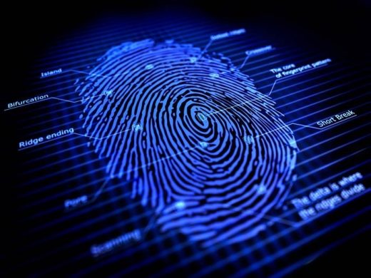 Microsoft Patents Fingerprint Authentication Sensor In Keyboard, Touchscreens