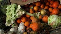 New York’s Sanitation Bureau Is Searching For Food Waste Innovations