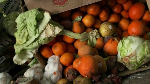 New York’s Sanitation Bureau Is Searching For Food Waste Innovations