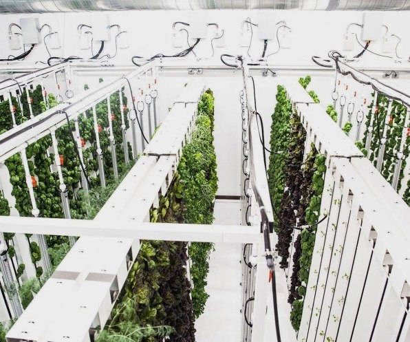 This Underground Urban Farm Also Heats The Building Above It | DeviceDaily.com