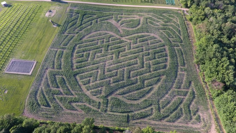 Inside The Surprisingly High-Tech World Of Corn Mazes | DeviceDaily.com