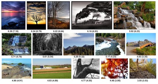 Google AI can rate photos based on aesthetic appeal