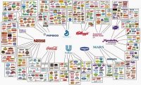 Making The Move To Modern CPG: 5 Factors To Consider