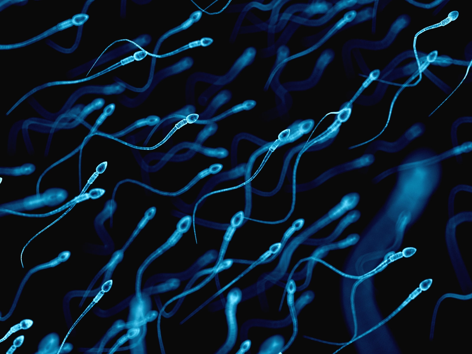 Researchers use sperm to deliver cancer drugs to tumors | DeviceDaily.com