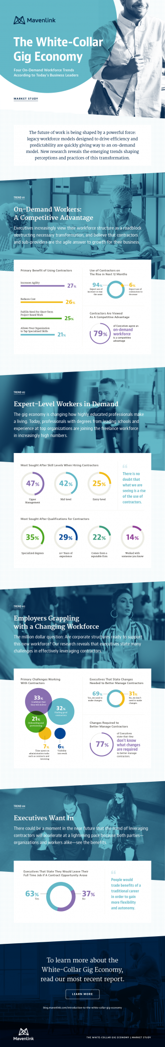 Surprise: Senior Executives Sought in Gig Economy [Infographic]