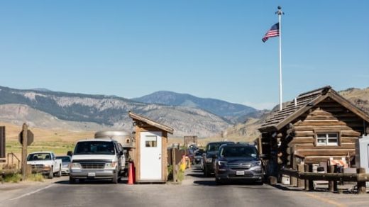 These Electric Busses Could Start Cleaning Up National Park Travel