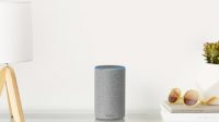 Amazon Echo owners spend more on average than Prime members
