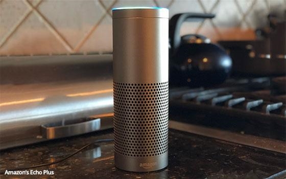 Online Grocery Shoppers Drawn To Smart Speakers | DeviceDaily.com