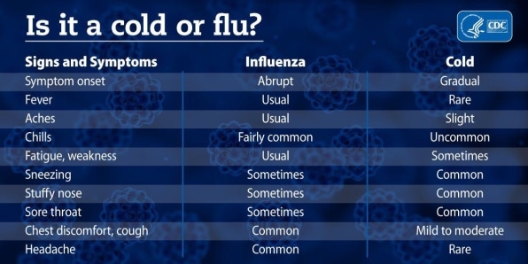 Cold or flu? This useful CDC symptoms test may help you tell the difference | DeviceDaily.com