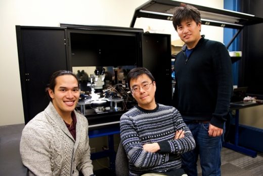 ‘Artificial synapse’ points the way toward portable AI devices
