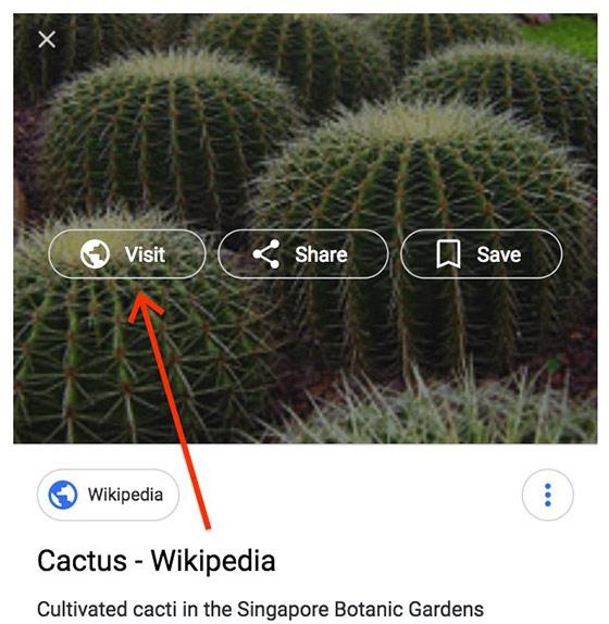 Google Search Removes 'View Image,' Sets Precedent | DeviceDaily.com