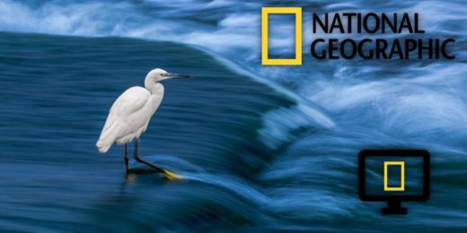 National Geographic, Sprint Launch Quest To Find Innovation In Wireless Tech