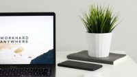 These are the states where the most people work from home