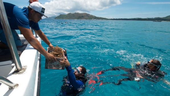 This Island Nation Swapped Some Of Its Debt To Protect Its Oceans | DeviceDaily.com