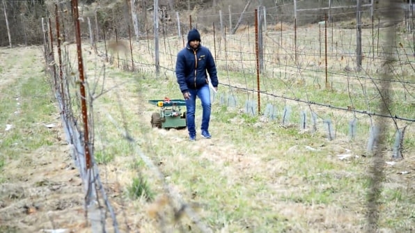 This Robotic Wheelbarrow Will Follow Farmworkers As They Pick Berries | DeviceDaily.com