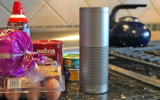 Online Shoppers Not Big On Buying By Voice Device