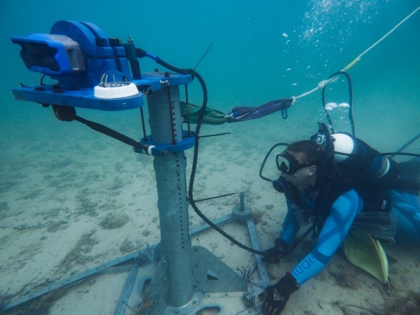 This AI-Powered Shark Detector Warns Swimmers When The Beach Isn’t Safe | DeviceDaily.com