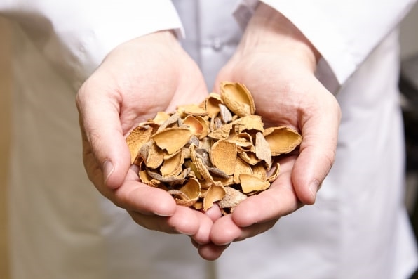 This USDA Lab Is Turning Billions Of Pounds Of Almond Waste Into Beer, Plastic, And Power | DeviceDaily.com This USDA Lab Is Turning Billions Of Pounds Of Almond Waste Into Beer, Plastic, And Power | DeviceDaily.com