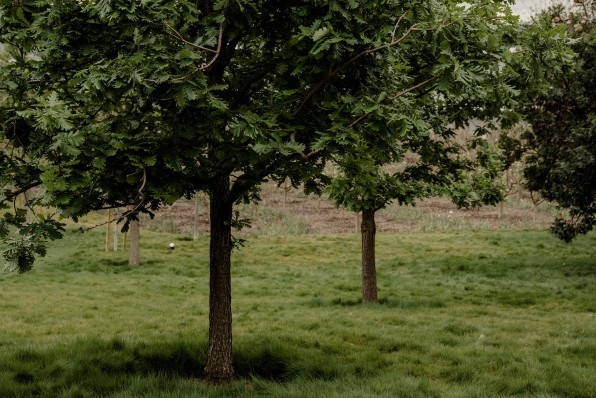 Apple Now Runs On 100% Green Energy, And Here’s How It Got There | DeviceDaily.com