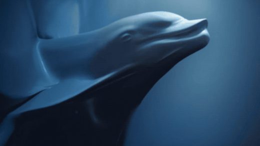 Marine Animals Are Suffocating On Plastic In This New Sea Shepard PSA