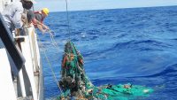The Great Pacific Garbage Patch Is 16 Times Bigger Than We Thought